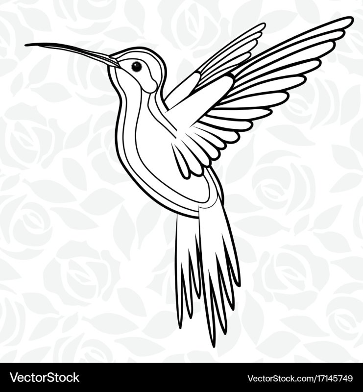 Шаблон птички Колибри