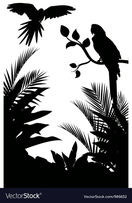 Тропические птицы силуэт