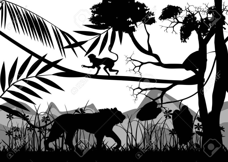 Джунгли Графика