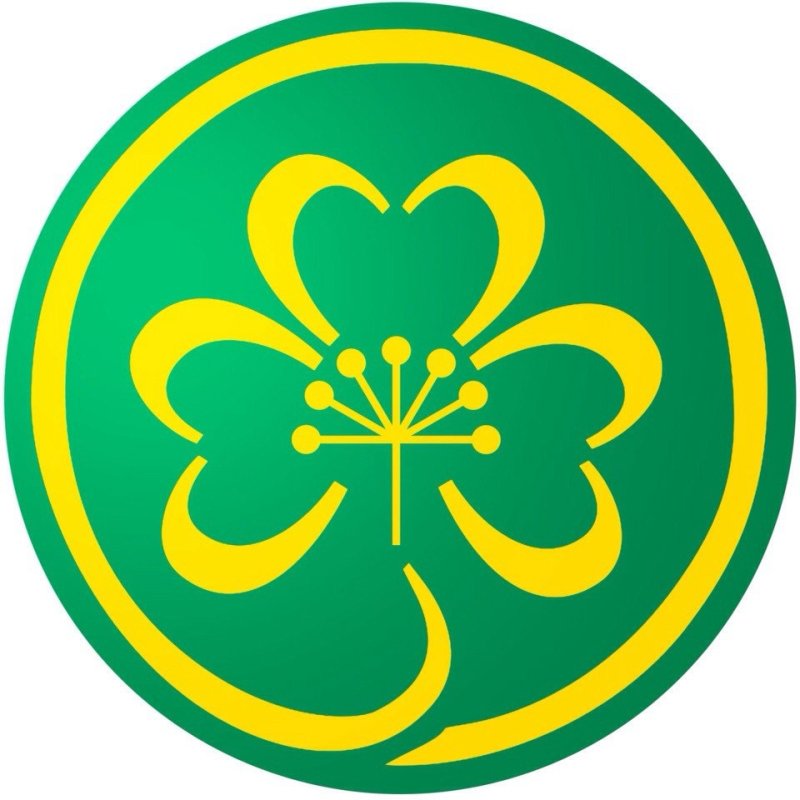 Башкирский орнамент с цветками курая