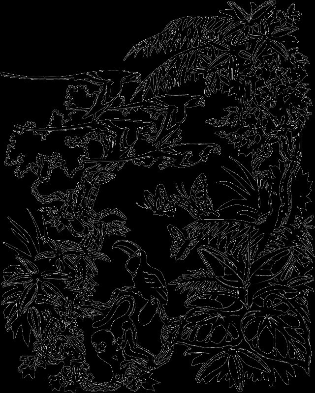 Джунгли рисунок