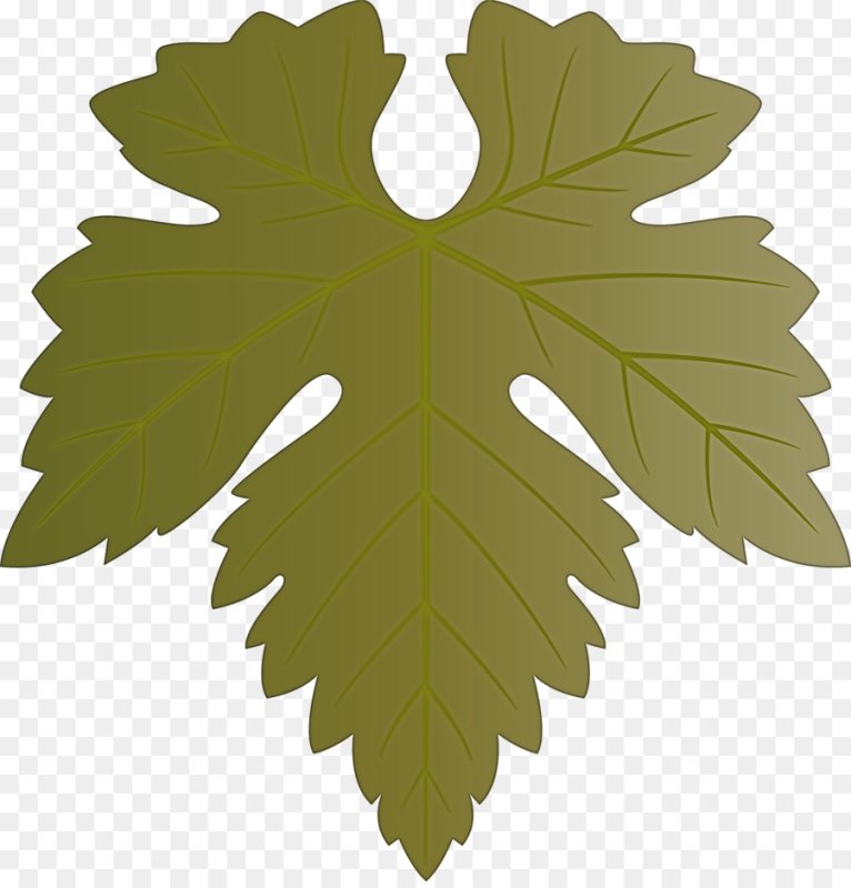 Виноградный лист трафарет