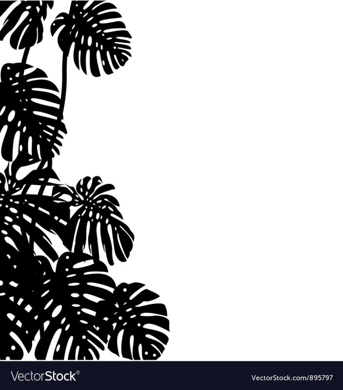 Монстера трафарет