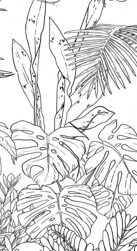Тропические растения раскраска