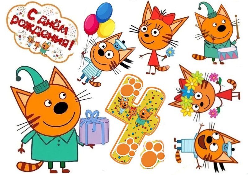 3 Кота на белом фоне