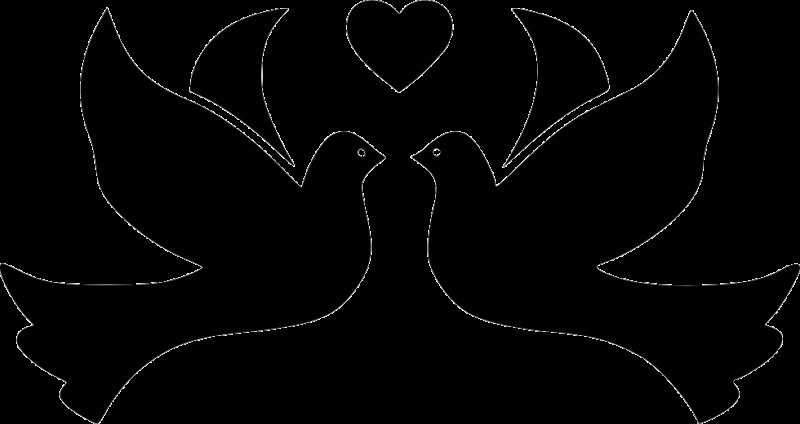 Голубь вектор