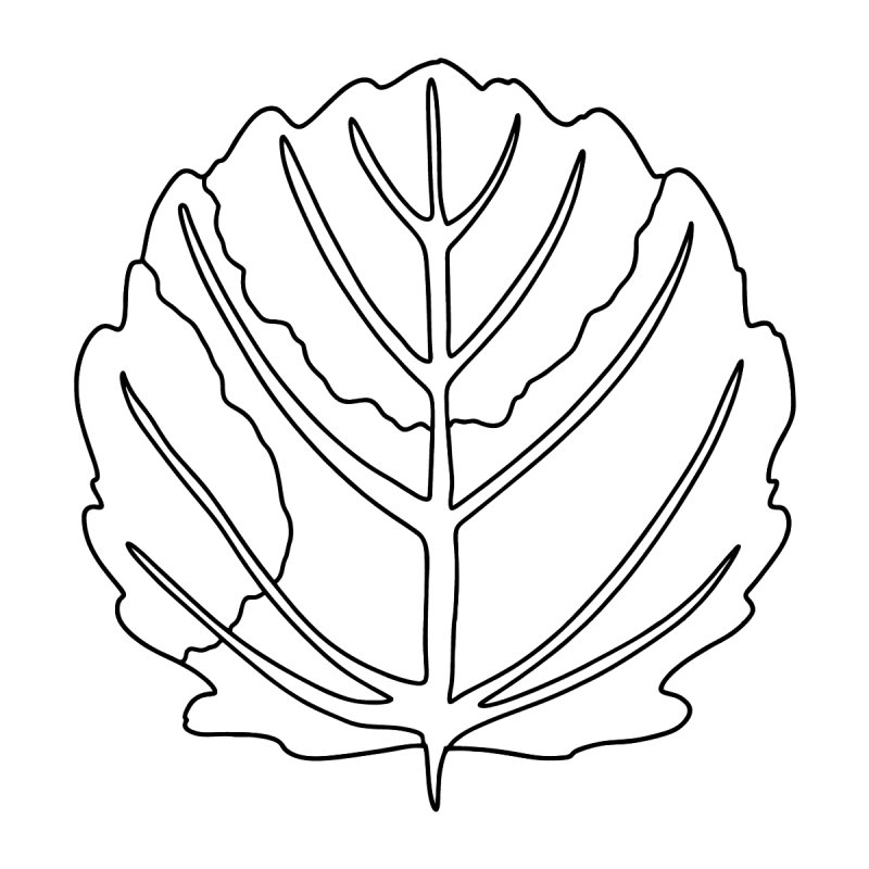 Раскраска листьев осины