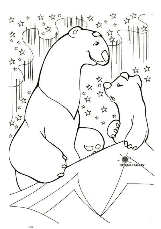Белый медведь раскраска для детей