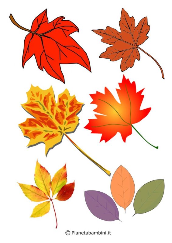 Осенние листья