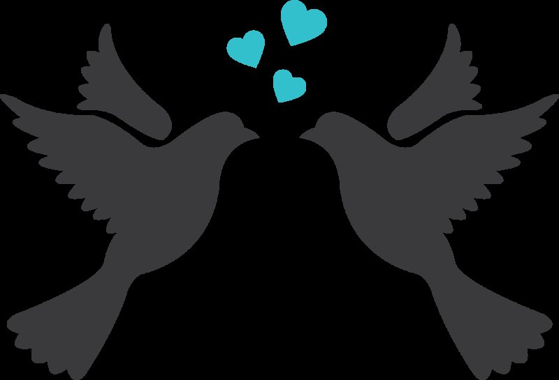 Голубь вектор