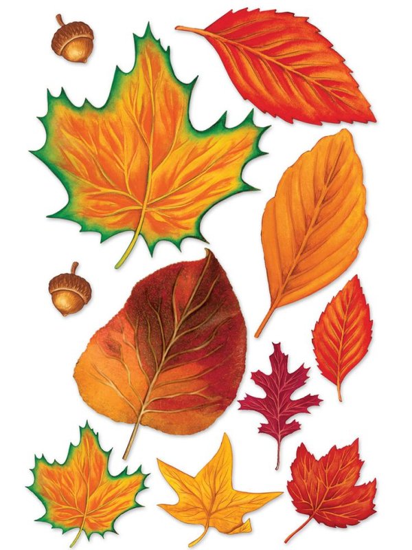 Осенние листья деревьев