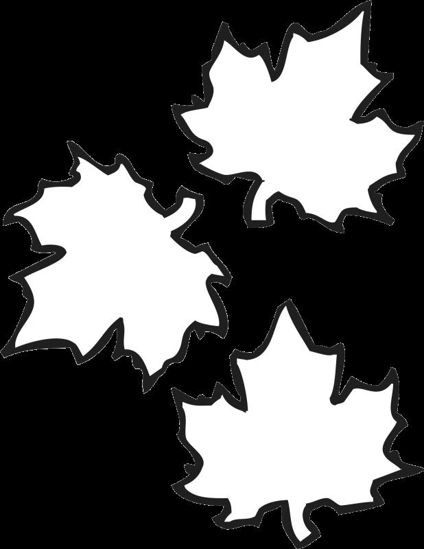 Кленовый листик трафарет