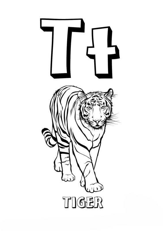 Английская буква t