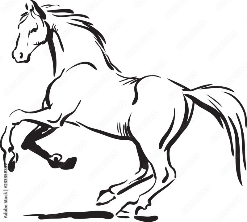Лошадь контур
