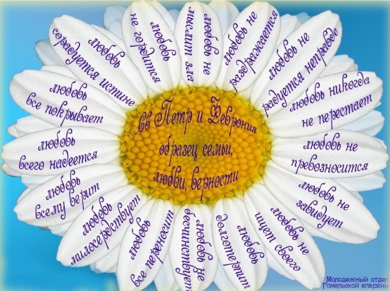 Ромашка с пожеланиями