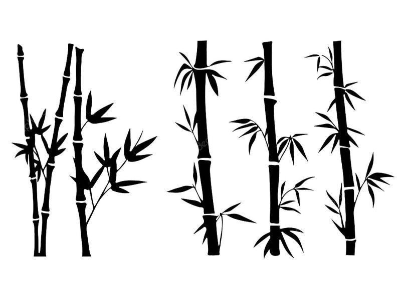 Бамбук рисунок