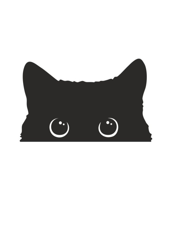 Наклейка кот выглядывает