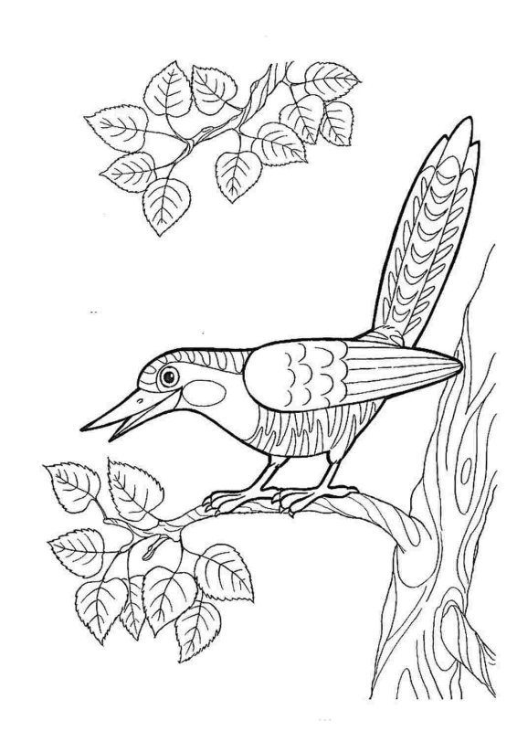 Перелетные птицы раскраска для детей