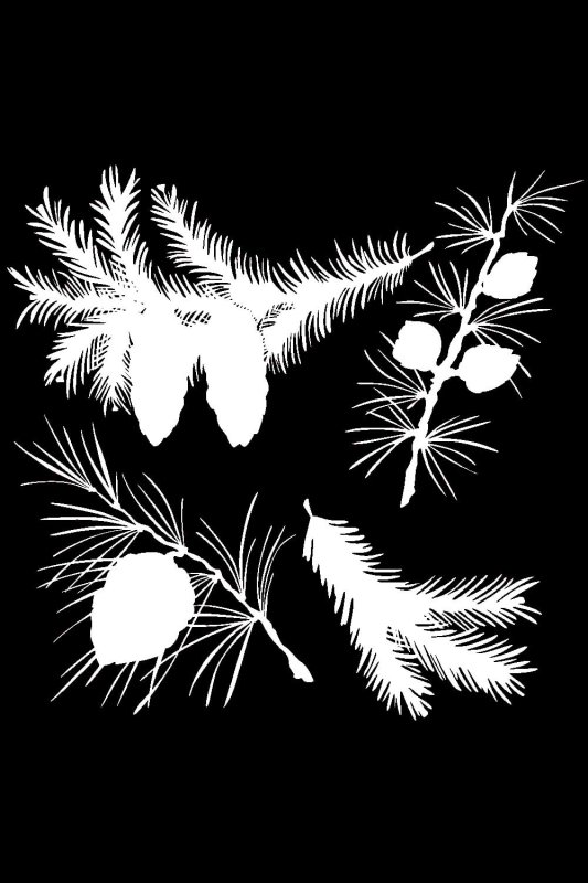 Еловая веточка трафарет