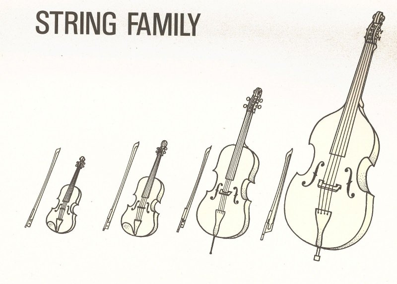 Альт струнные смычковые музыкальные инструменты