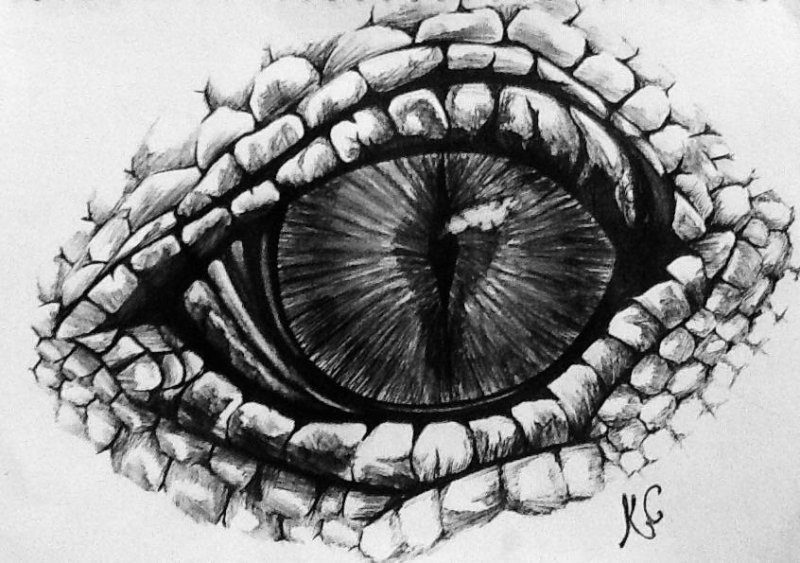 Глаз дракона