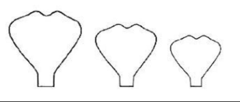 Лепесток розы шаблон