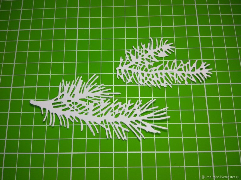 Ветка елки на окно