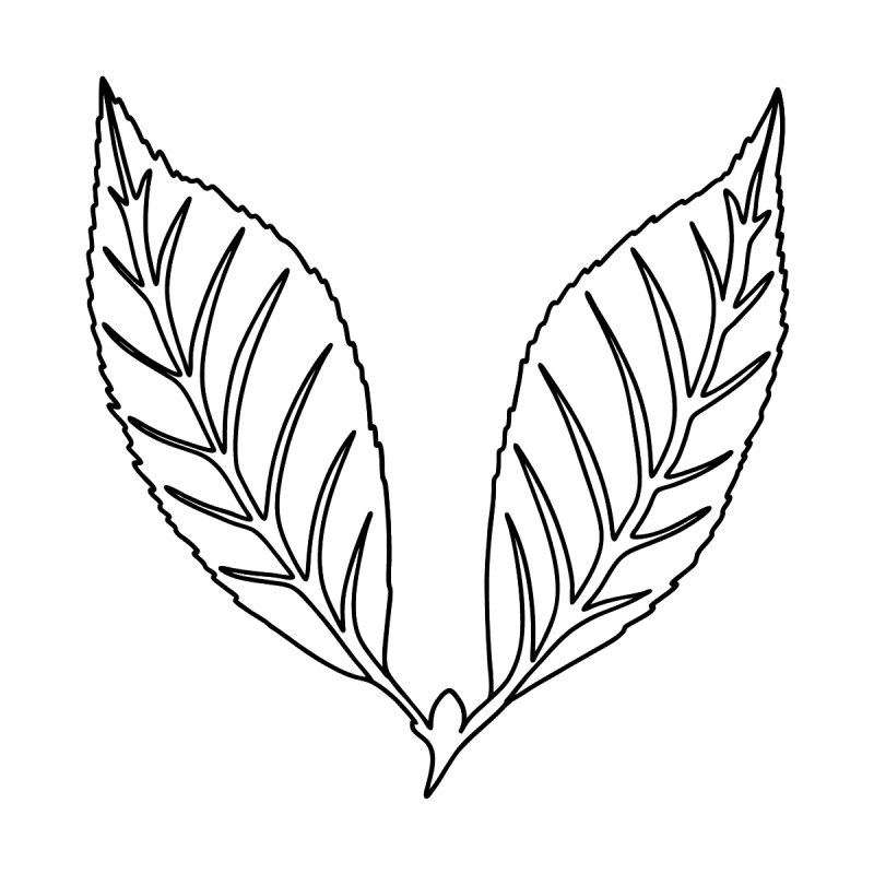 Листочки раскраска