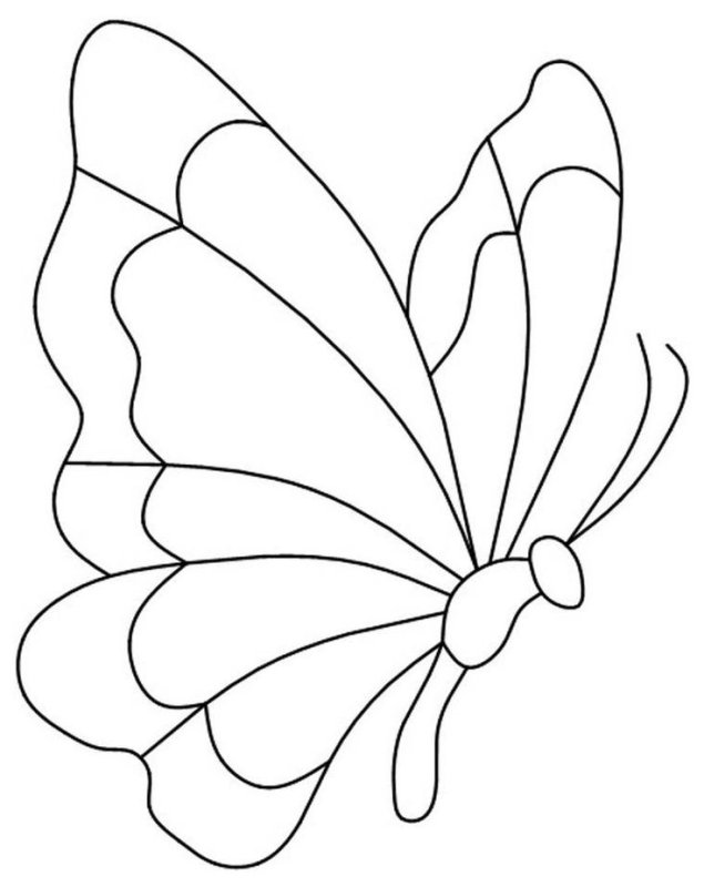 Шаблон бабочки