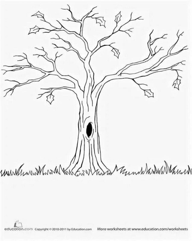 Дерево раскраска для детей