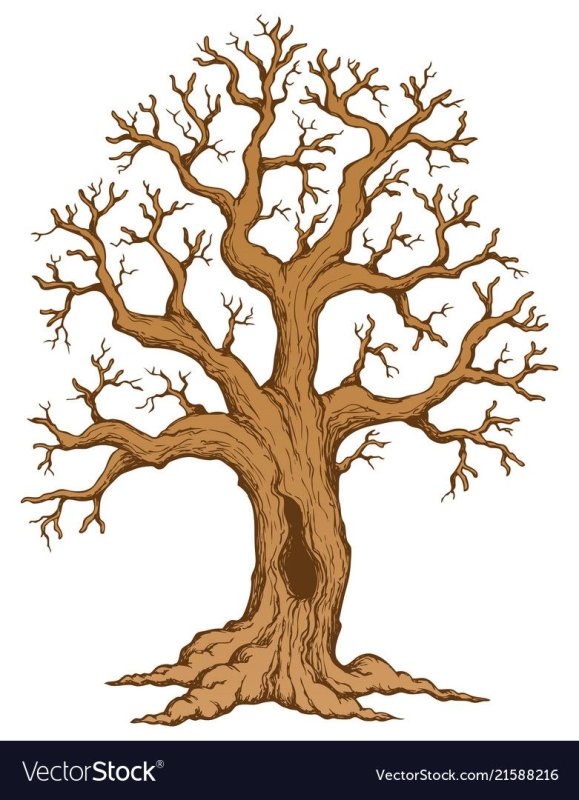 Ствол дерева коричневый