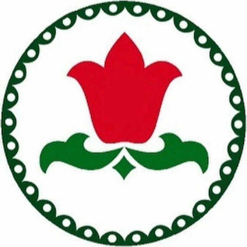 Татарский орнамент тюльпан