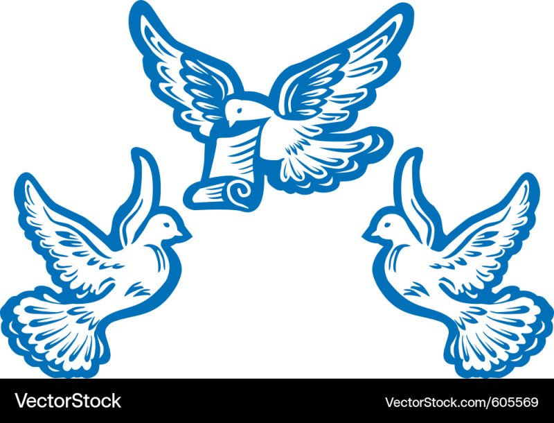 Изображение голубя