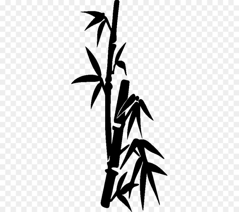Бамбук силуэт