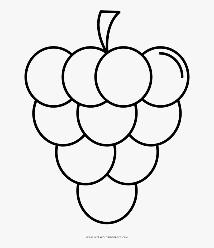 Виноград раскраска для малышей