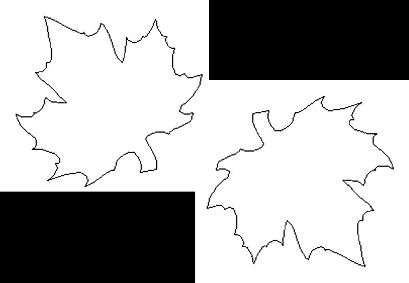 Кленовый листик трафарет