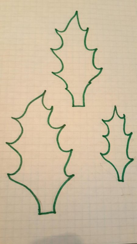 Листик остролиста