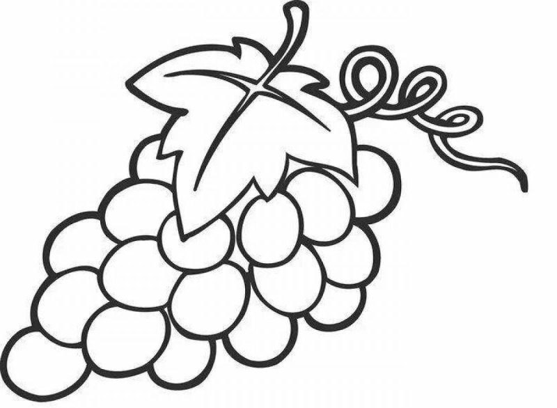 Виноград раскраска для детей