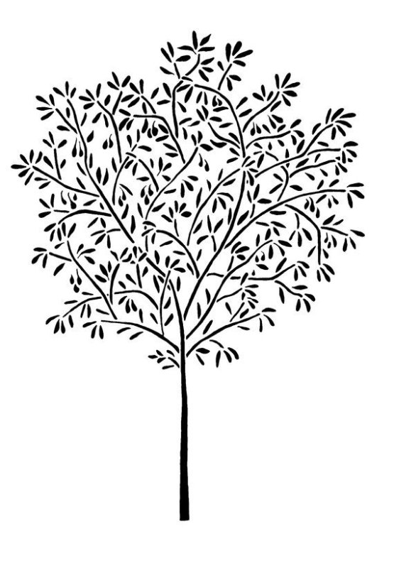 Рябина дерево раскраска для детей