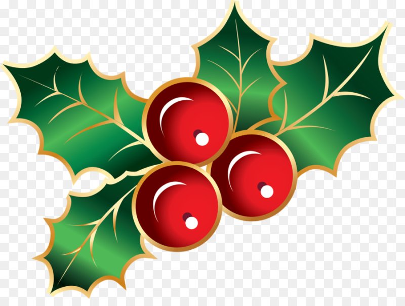 Новогодние ягоды с листьями