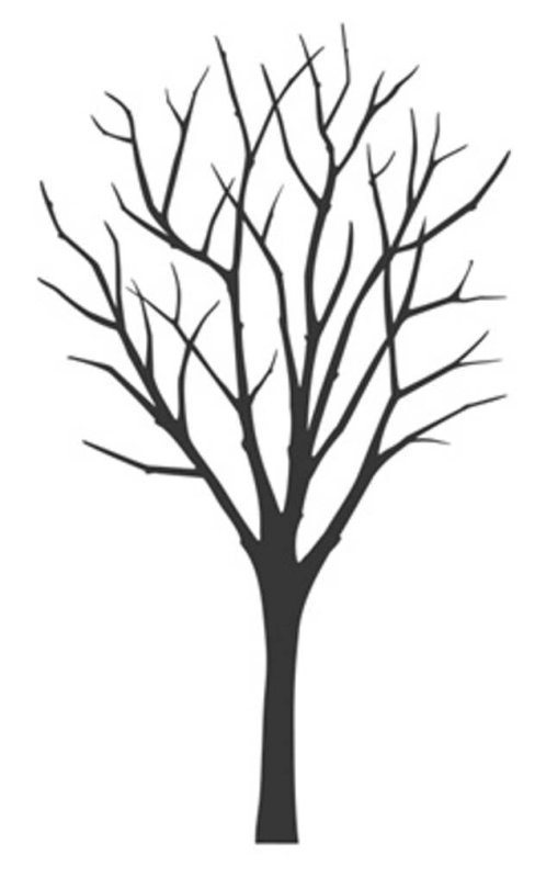 Ствол дерева