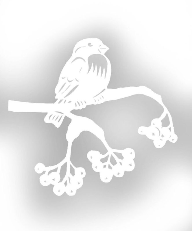 Вытанки птицы