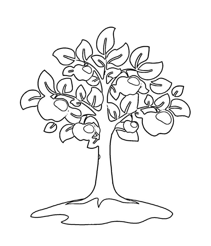 Яблоня раскраска