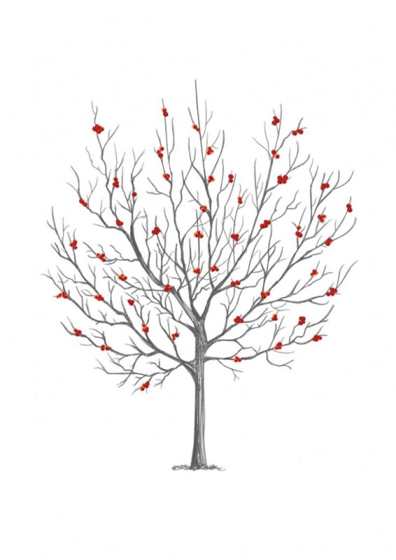 Дерево рисунок