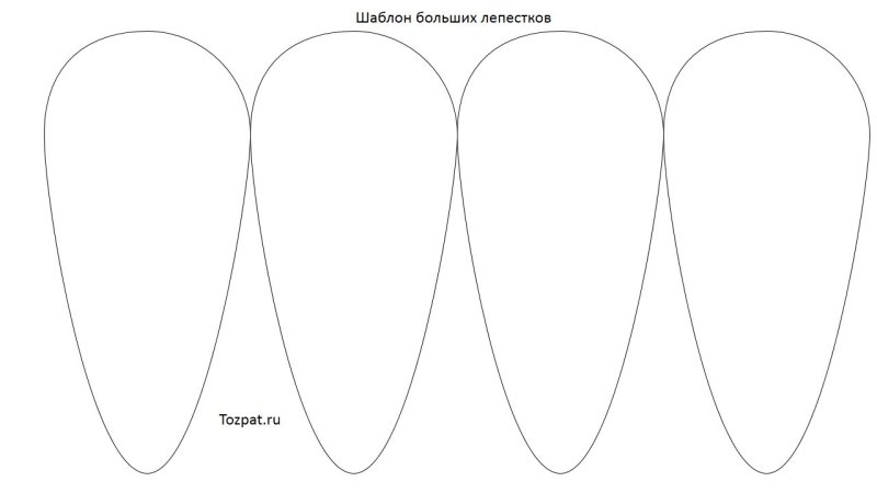 Лепестки ромашки для вырезания