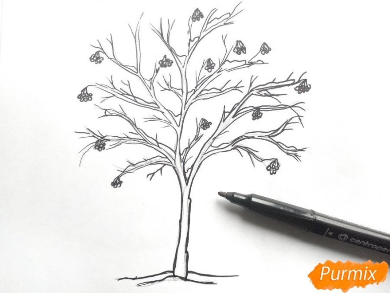 Дерево карандашом