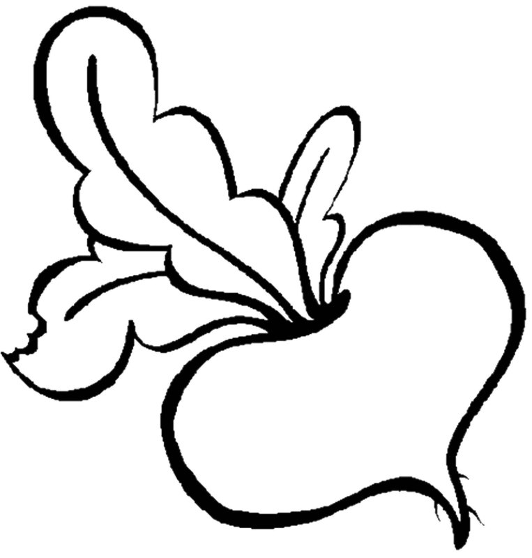 Раскраски длы я малышей