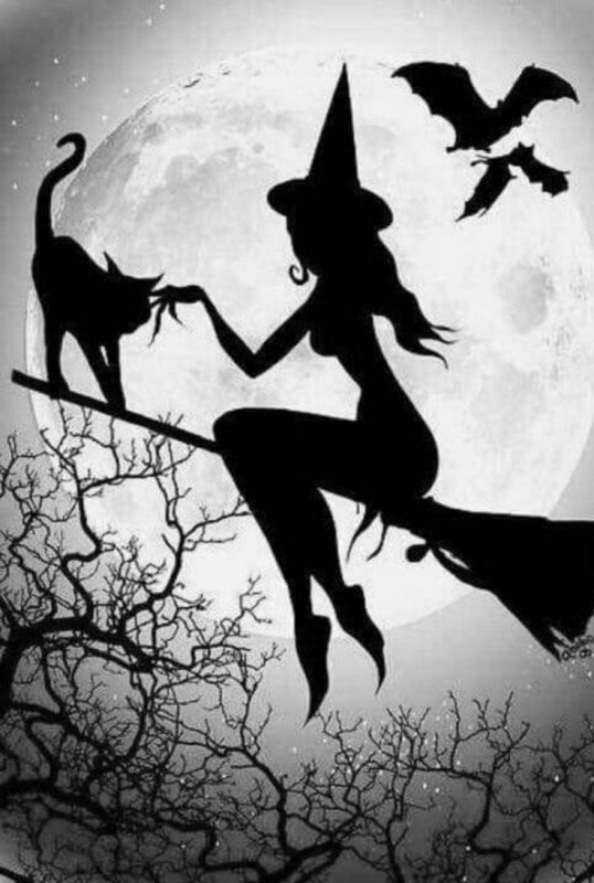Хэллоуин шабаш ведьм