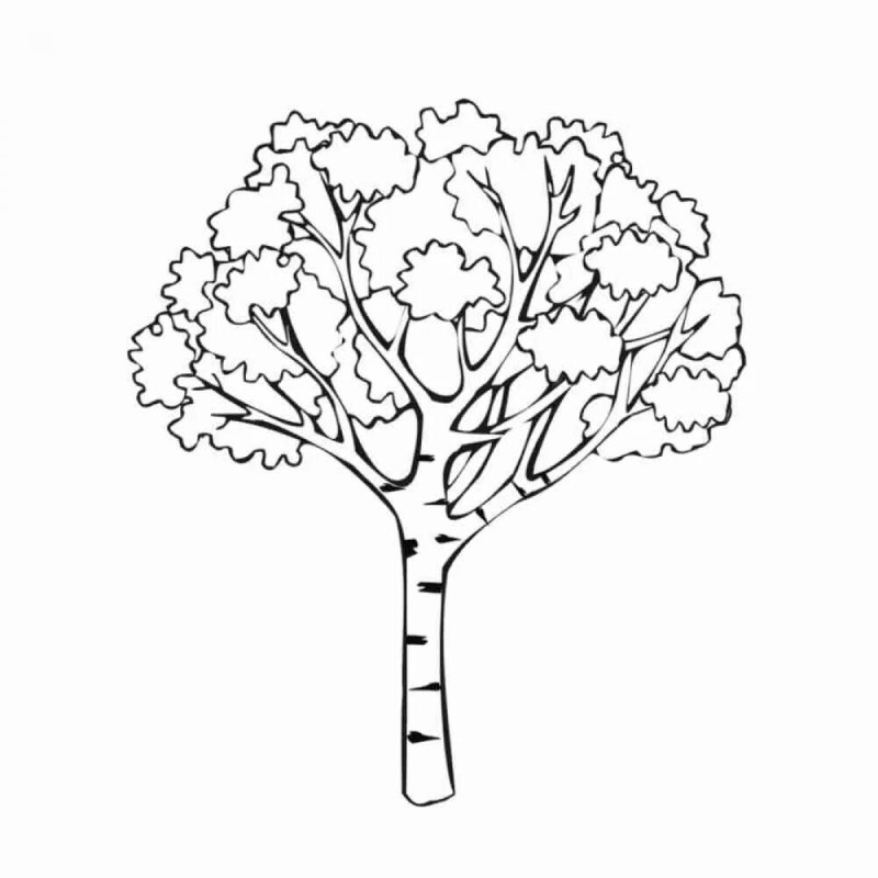 Дерево раскраска для детей