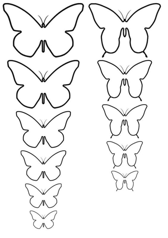 Трафареты бабочек для декора